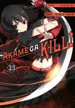 Okładka Akame ga kill! #13