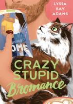 Okładka Crazy Stupid Bromance