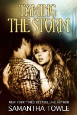 Okładka Taming the Storm