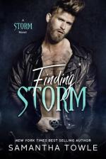 Okładka Finding Storm