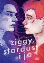 Okładka Ziggy, Stardust i ja