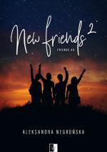 Okładka New Friends 2