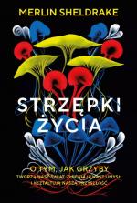 Okładka Strzępki życia