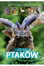 Okładka Atlas ptaków. 250 polskich gatunków