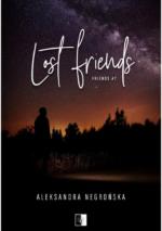 Okładka Lost Friends
