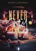 Okładka Never Say No