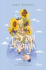 Okładka 100 dni słońca