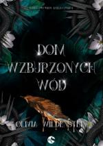 Okładka Dom wzburzonych wód