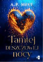 Okładka Tamtej deszczowej nocy