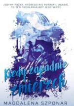 Okładka Kiedy zapadnie zmierzch