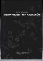 Okładka Miliony rozbitych kawałków
