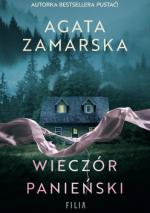Okładka Wieczór panieński