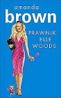 Okładka Prawnik Elle Woods