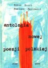 Okładka Antologia nowej poezji polskiej 1990-1999