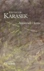 Okładka Autostrady i konie