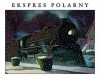 Okładka Ekspres polarny