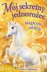 Okładka Magiczne zaklęcie