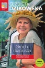Okładka Groch i kapusta. Podróżuj po Polsce! Południowy zachód