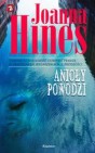 Okładka Anioły powodzi